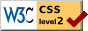 Level Double-A conformance, CSS